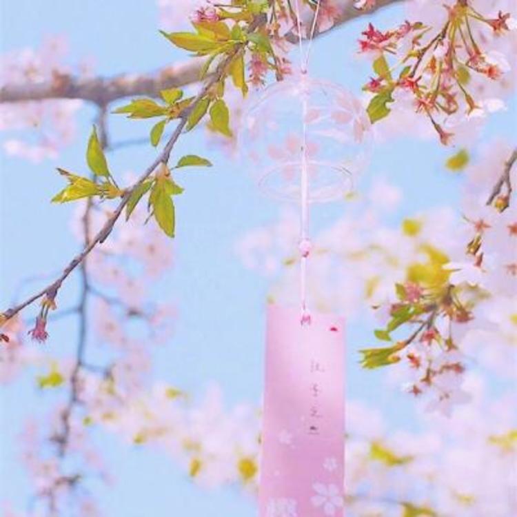 青木崇高（饰 相乐左之助） - 热门美剧全集在线观看 - 手机影视